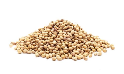 coriander.jpg