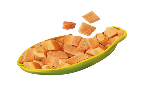 Freeze-dried-papaya-snack-1.png