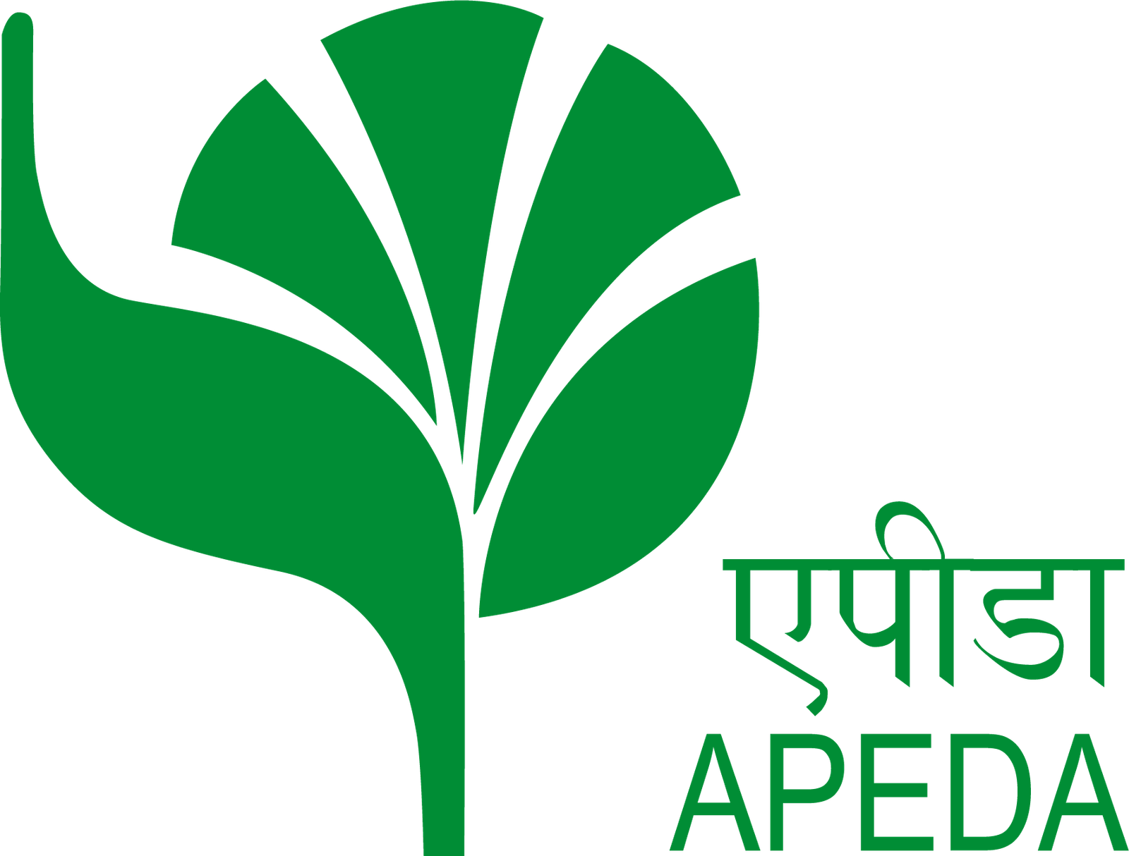 apeda-3-01.png